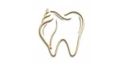 Sheffield Dentistry