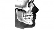 Ricupito Michael R DDS MS Orthdntst