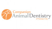 Companion Animal Dentistry