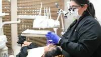 Dental Cleanings (Prophy)