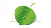 Priemer Dental Of Evergreen